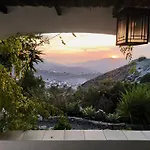 Adelfas * Cómpeta